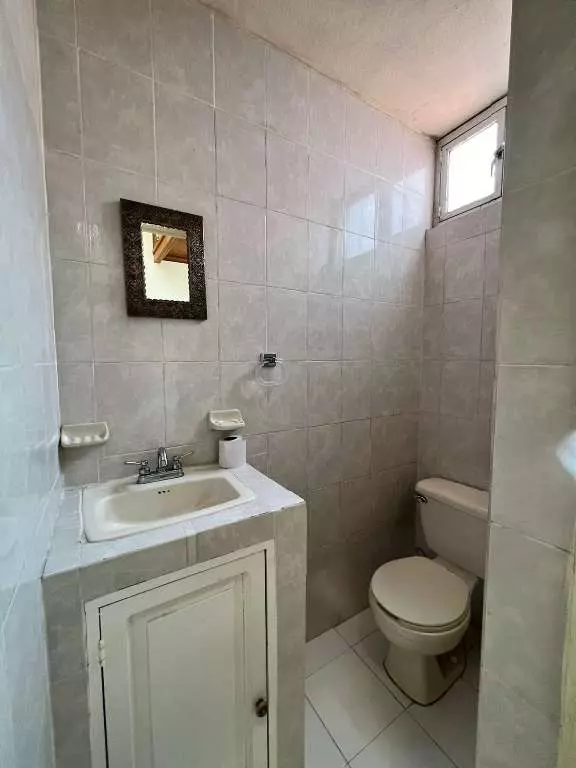 Cielito Lindo — Guadalupe, San Miguel de Allende — photo 16 — charming powder room, natural light, classic tilework