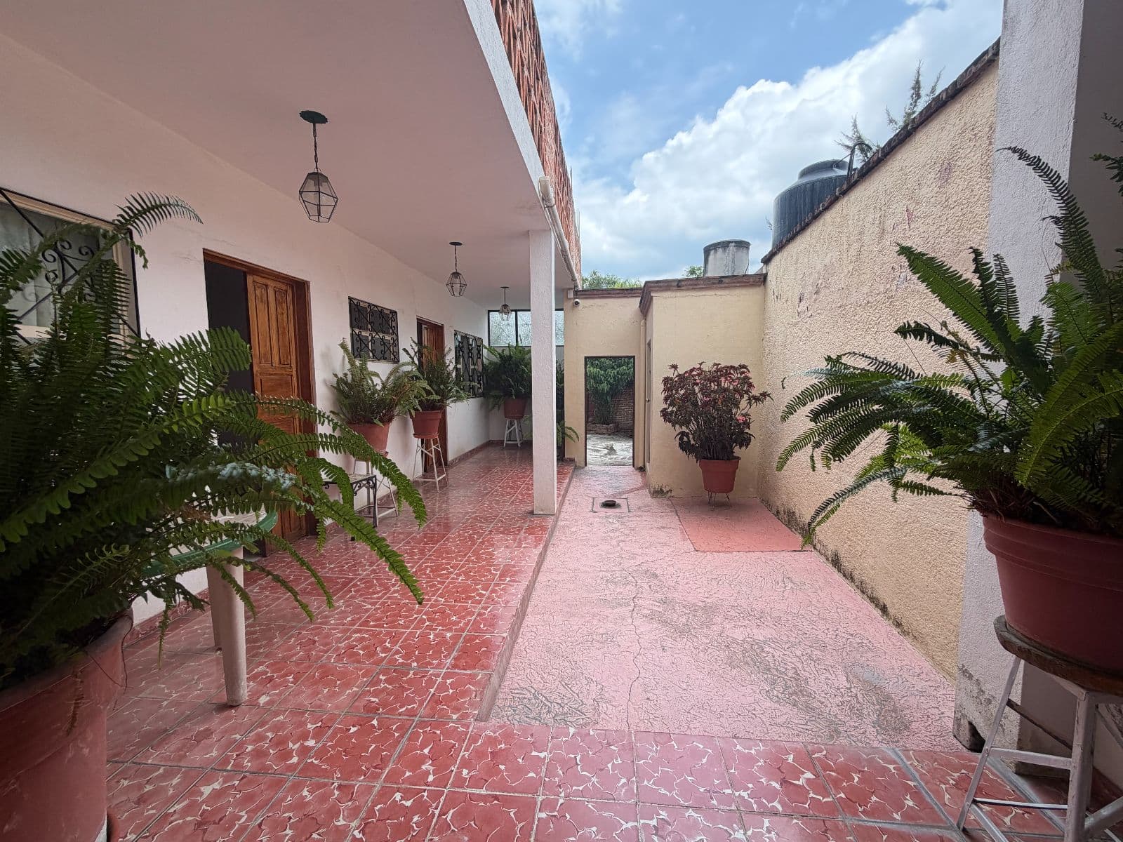 Casa Calzada — Centro, San Miguel de Allende — photo 4 — serene courtyard with lush tropical gardens