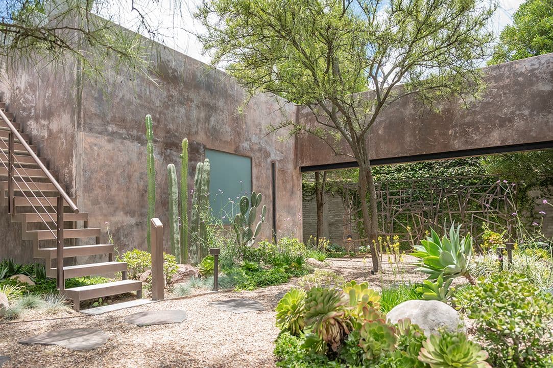 CASA SANCHEZ RENERO — Balcones, San Miguel de Allende — photo 22 — serene desert garden oasis retreat