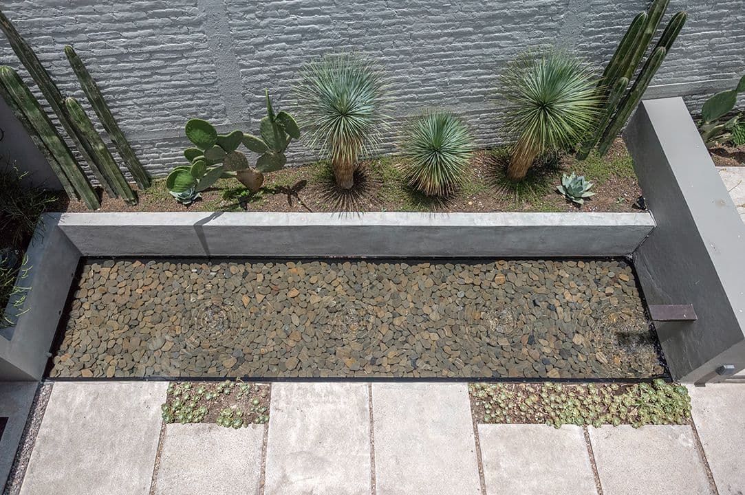 CASA SANCHEZ RENERO — Balcones, San Miguel de Allende — photo 24 — contemporary desert garden sanctuary design