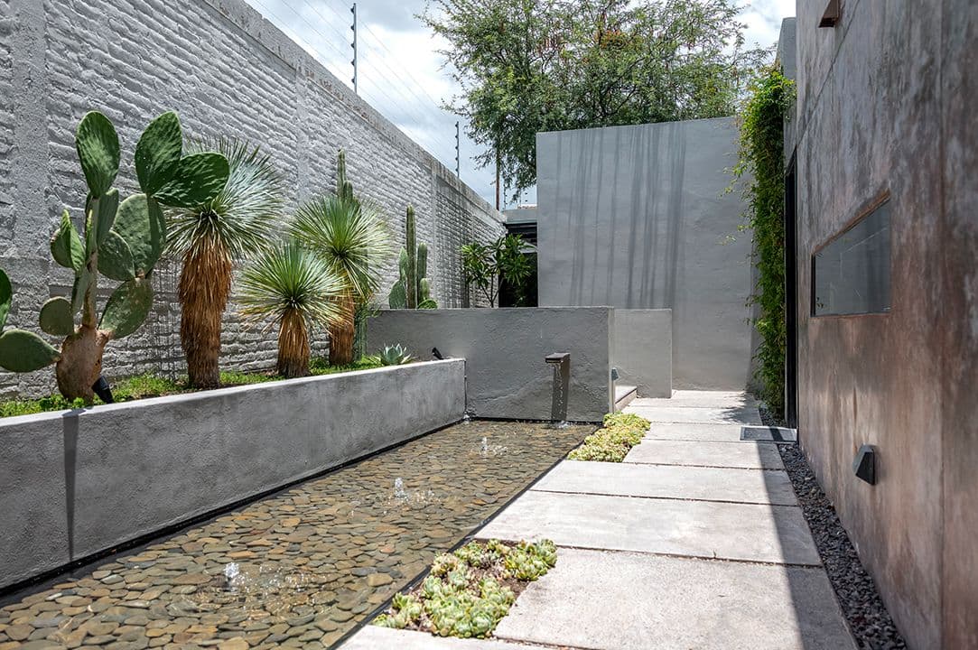 CASA SANCHEZ RENERO — Balcones, San Miguel de Allende — photo 5 — contemporary courtyard with desert landscaping