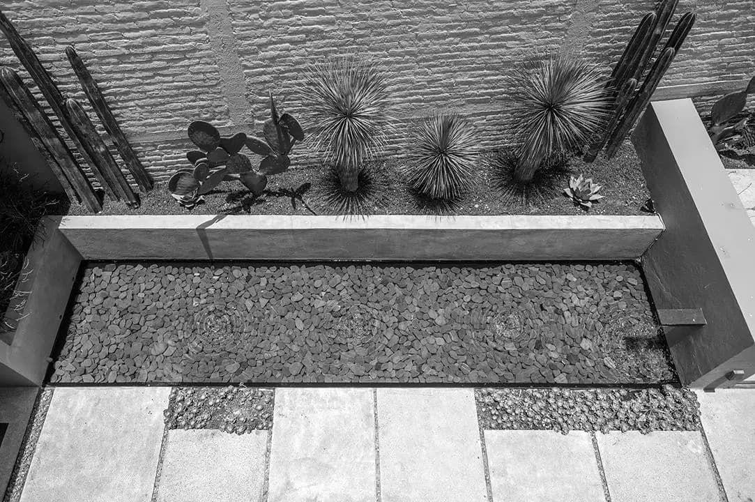 CASA SANCHEZ RENERO — Balcones, San Miguel de Allende — photo 25 — serene contemporary garden oasis design