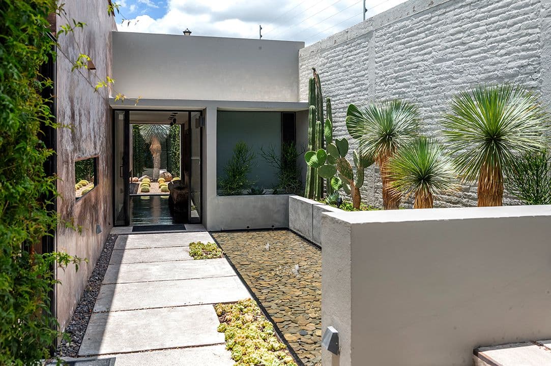 CASA SANCHEZ RENERO — Balcones, San Miguel de Allende — photo 4 — modern courtyard with desert landscaping elegance