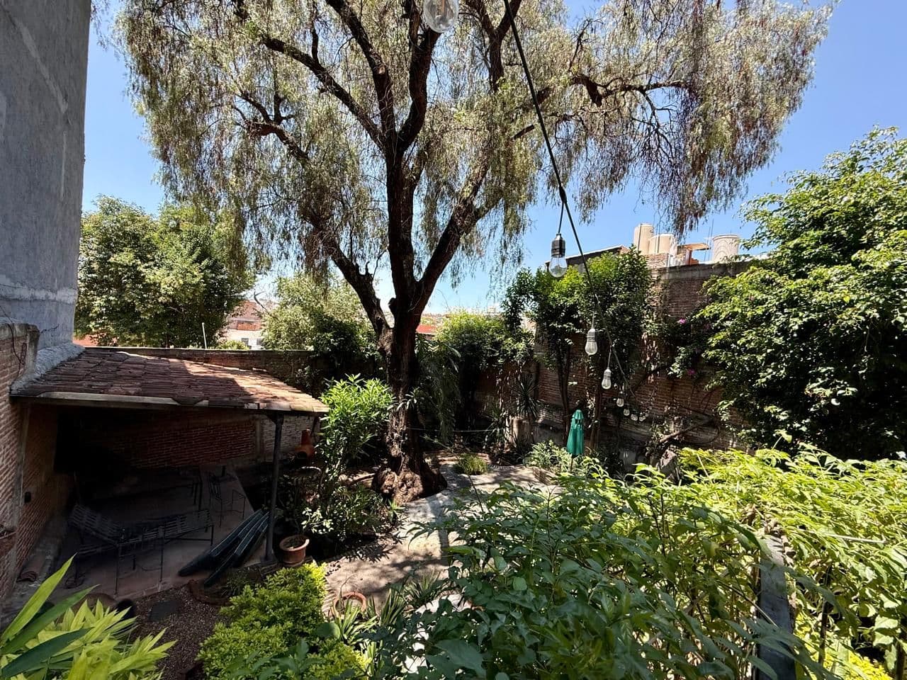 VENTA DEPARTAMENTO 3 N GUADALUPE β Guadalupe, San Miguel de Allende β photo 12 β mature tree, lush garden sanctuary