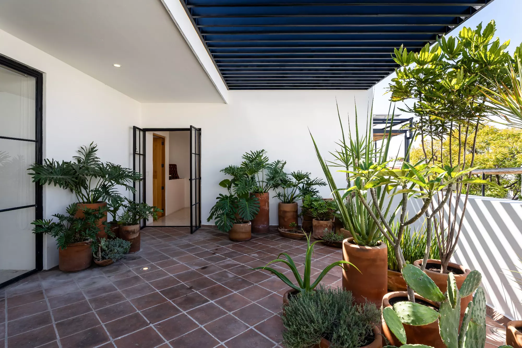 Casa Nómada — San Antonio, San Miguel de Allende — photo 21 — serene courtyard oasis with curated plantings