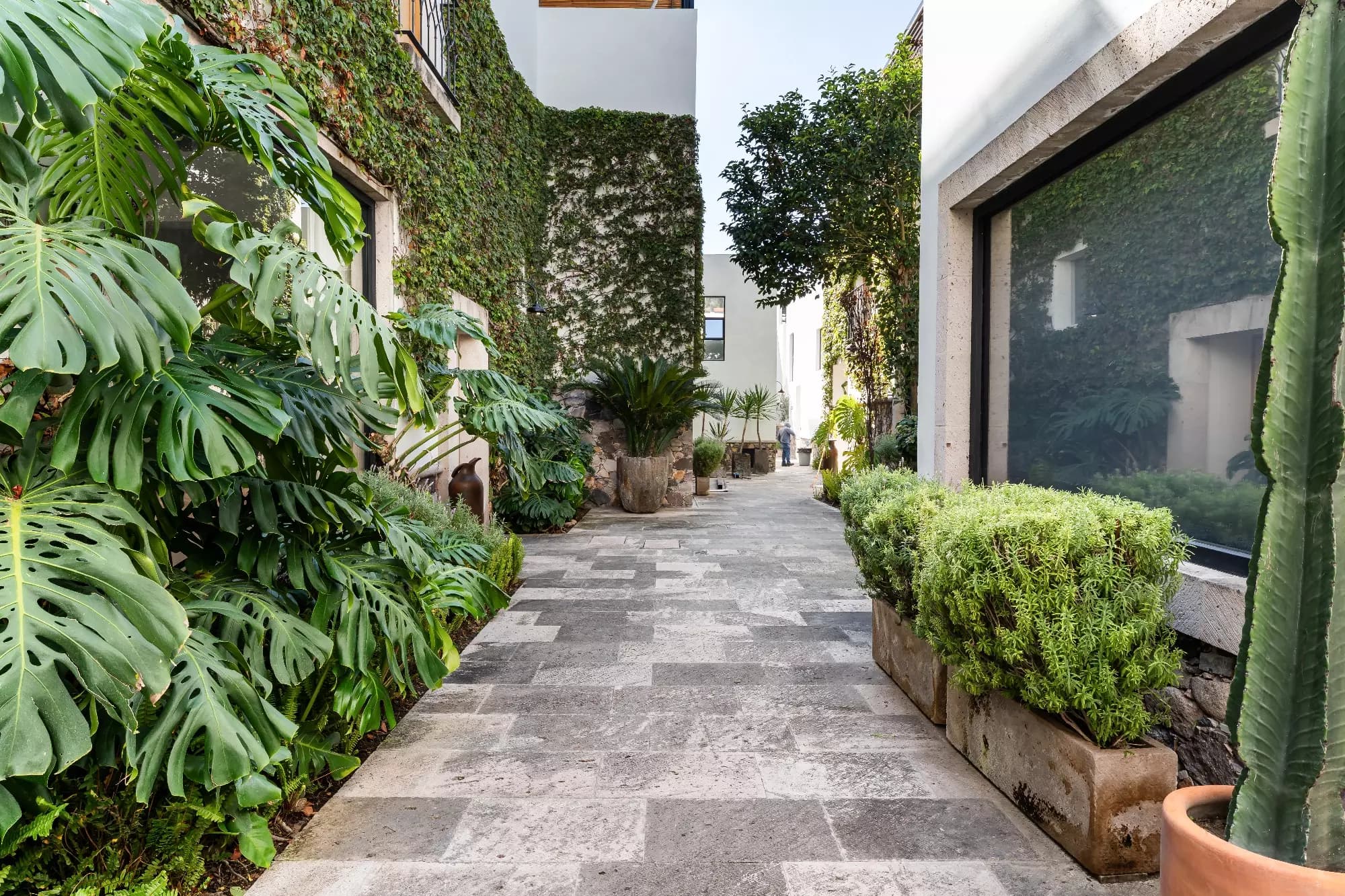Casa Nómada — San Antonio, San Miguel de Allende — photo 23 — verdant courtyard, living walls flourish