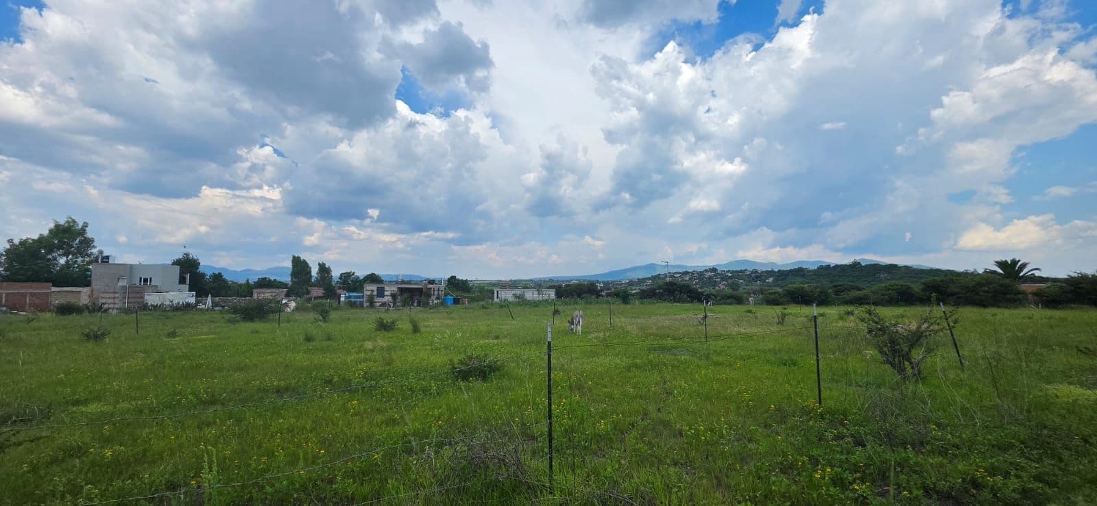 Lote Campestre Llano Blanco — Sosnabar, San Miguel de Allende — photo 5 — expansive pastoral views, development potential