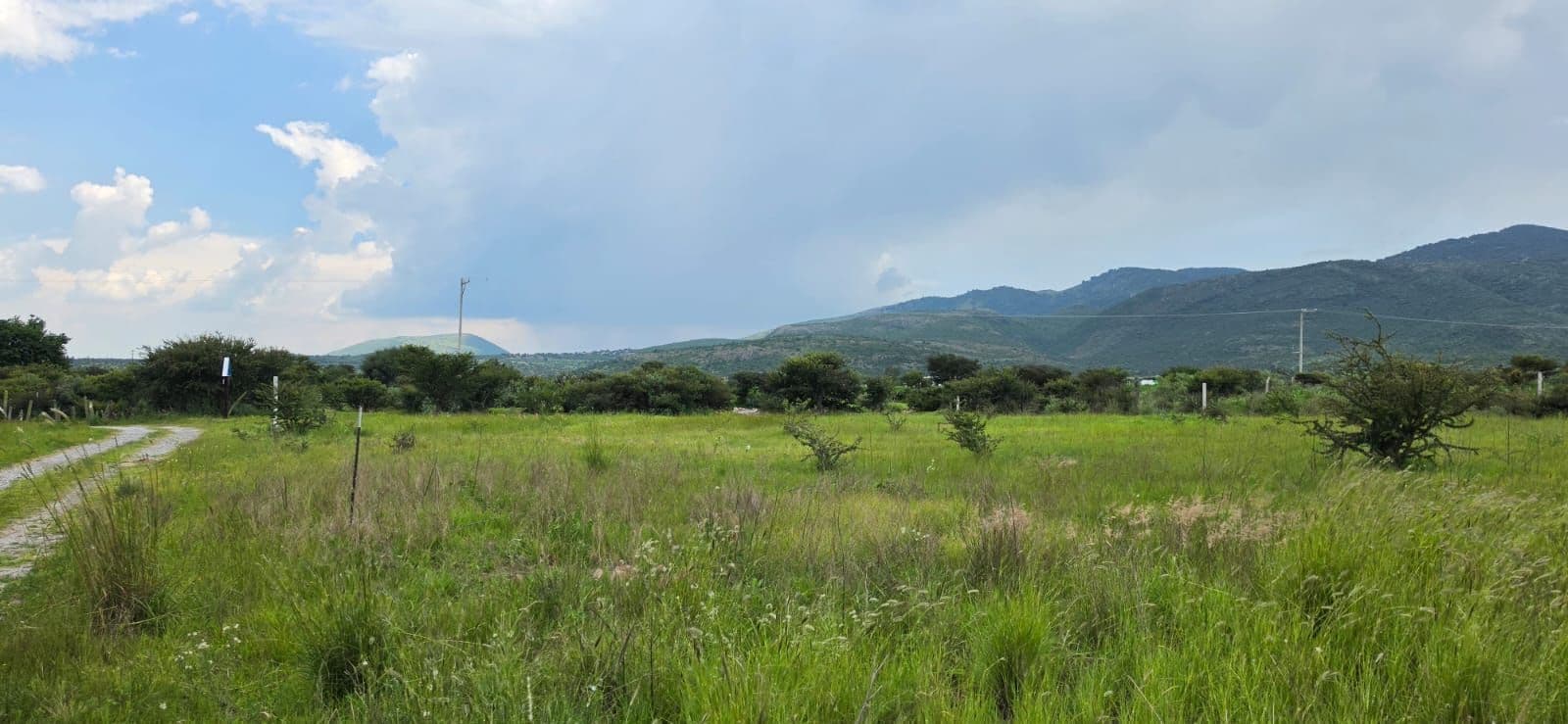 Lote Campestre Llano Blanco — Sosnabar, San Miguel de Allende — photo 3 — expansive pastoral vistas, mountain backdrop
