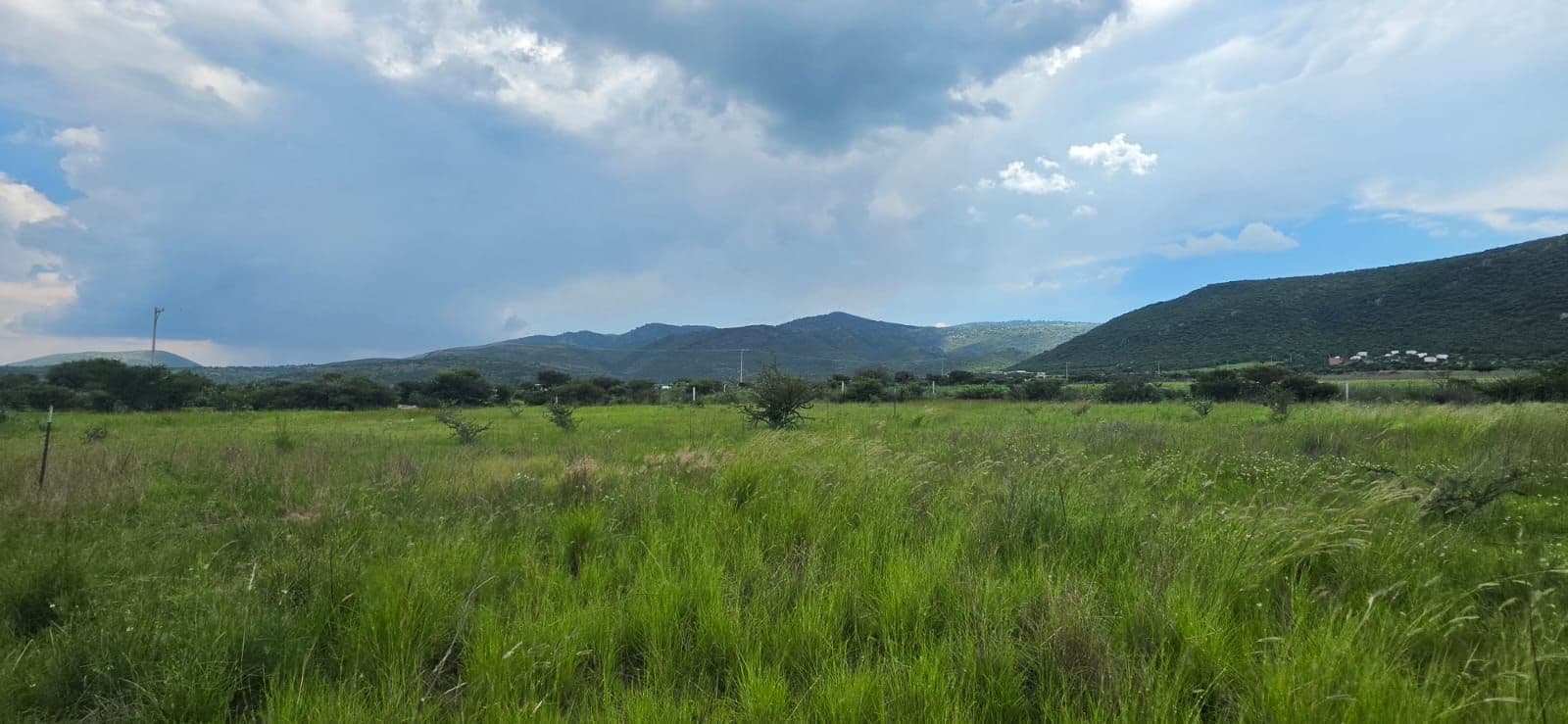 Lote Campestre Llano Blanco — Sosnabar, San Miguel de Allende — photo 2 — expansive pastoral vistas, verdant rolling landscapes