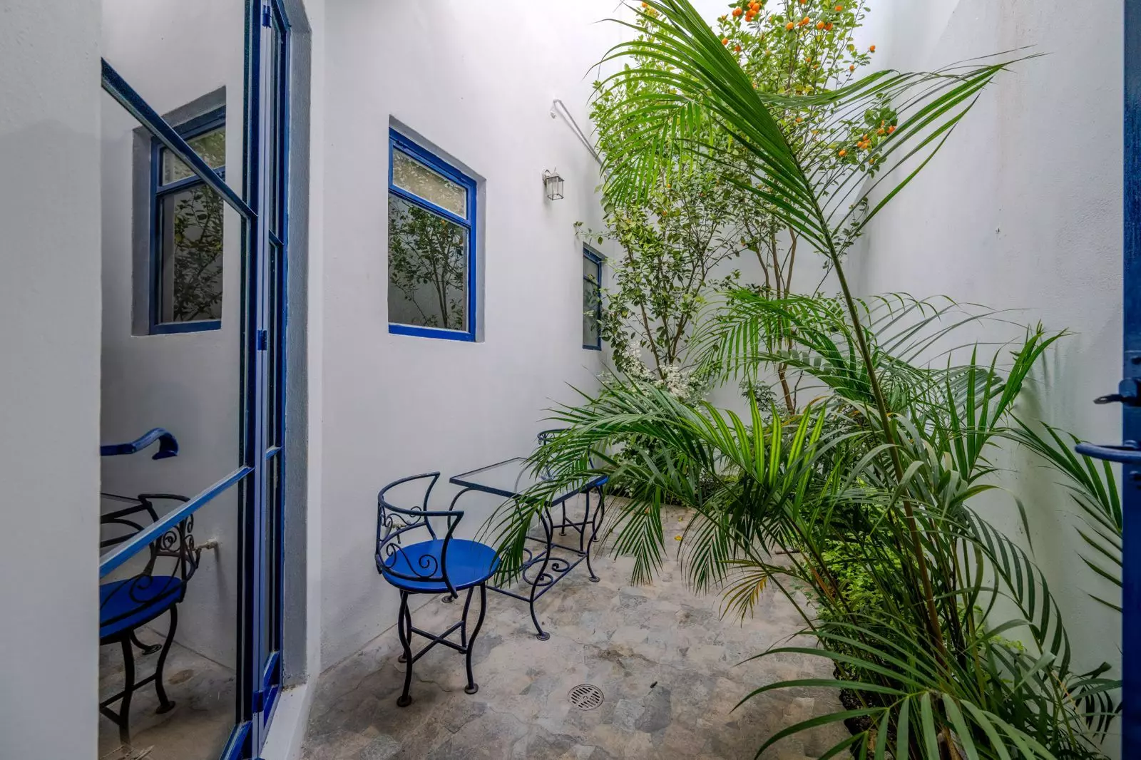 Casa Lenora — Atascadero (Arcos de San Miguel), San Miguel de Allende — photo 7 — charming courtyard with tropical botanicals