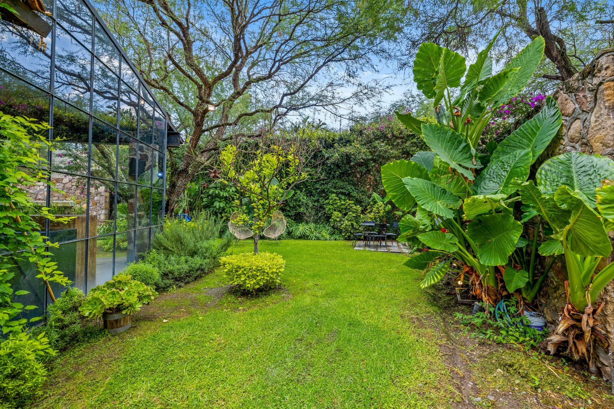 Huizaches Garden — Villa de los Frailes, San Miguel de Allende — photo 13 — lush tropical garden, mature trees, serene