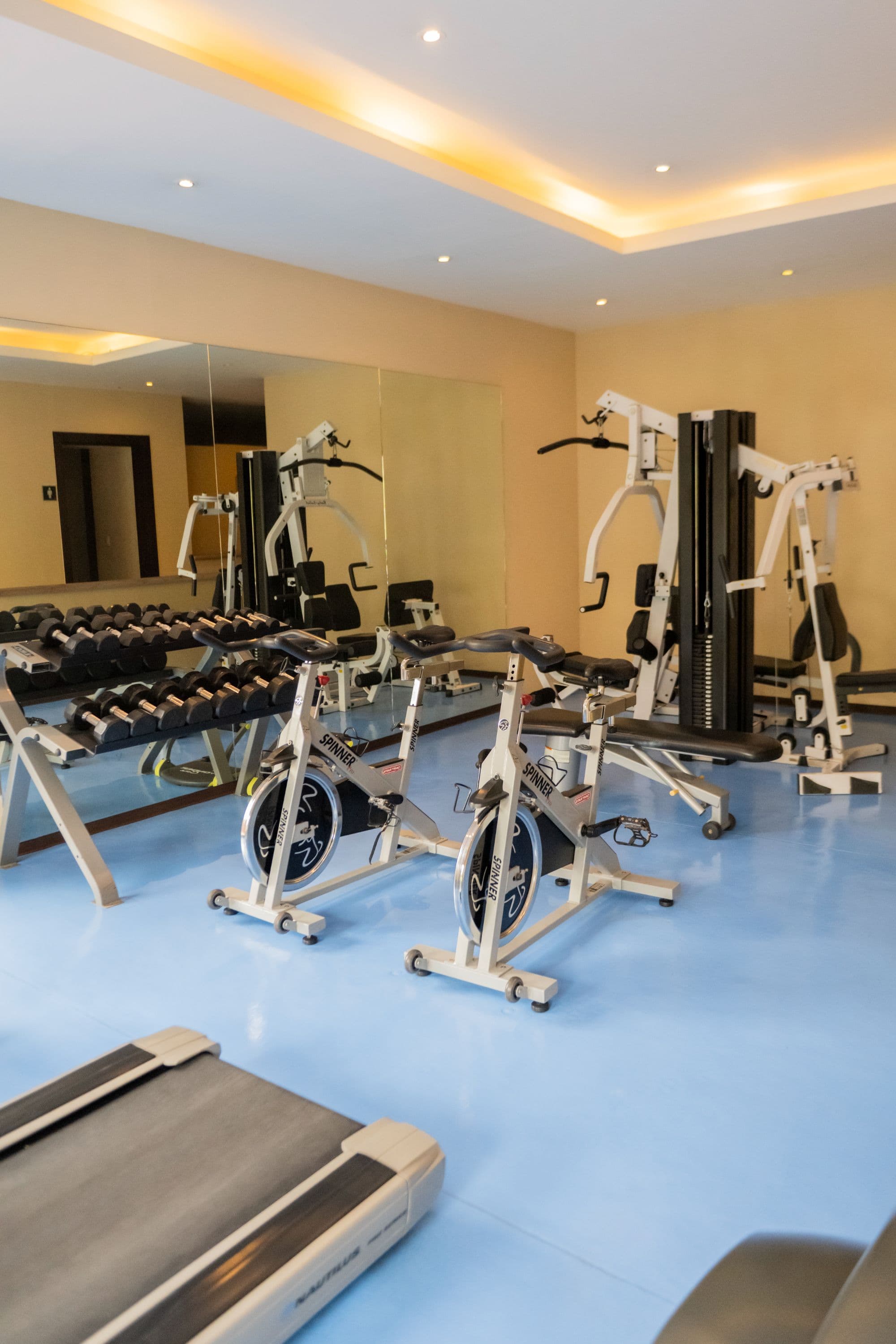 Casa Caracol — Caracol, San Miguel de Allende — photo 6 — sophisticated fitness sanctuary with ambient lighting