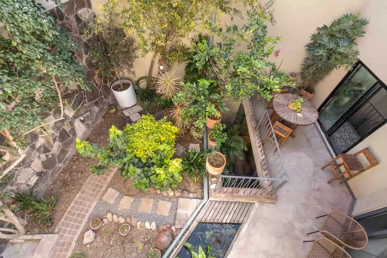 Casa Lúmina — Ojo de Agua, San Miguel de Allende — photo 25 — verdant courtyard oasis, charming mexican ambiance