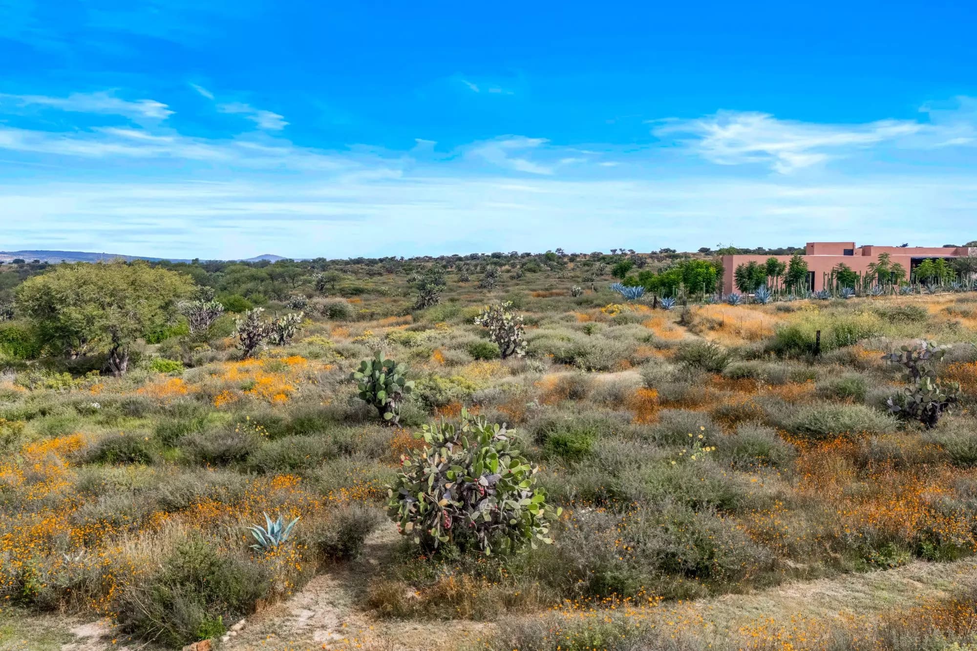 Hapori Eco Aldea Lot 1 — Capadero (San Isidro Capadero), San Miguel de Allende — photo 8 — expansive desert landscape with architectural charm