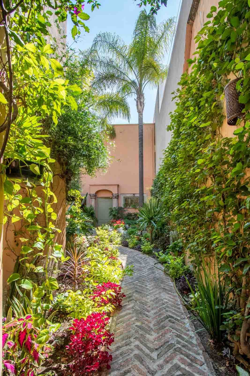 Secret Garden — San Antonio, San Miguel de Allende — photo 15 — verdant courtyard oasis, timeless colonial charm