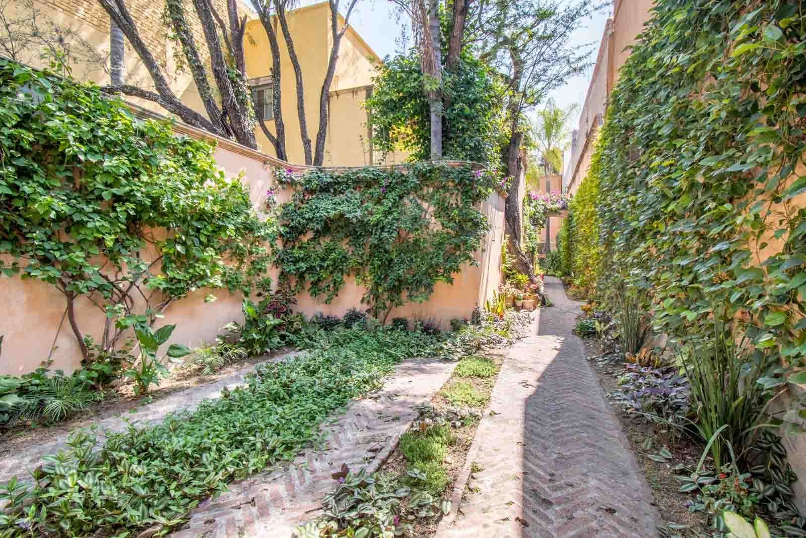 Secret Garden — San Antonio, San Miguel de Allende — photo 14 — verdant courtyard with authentic colonial charm