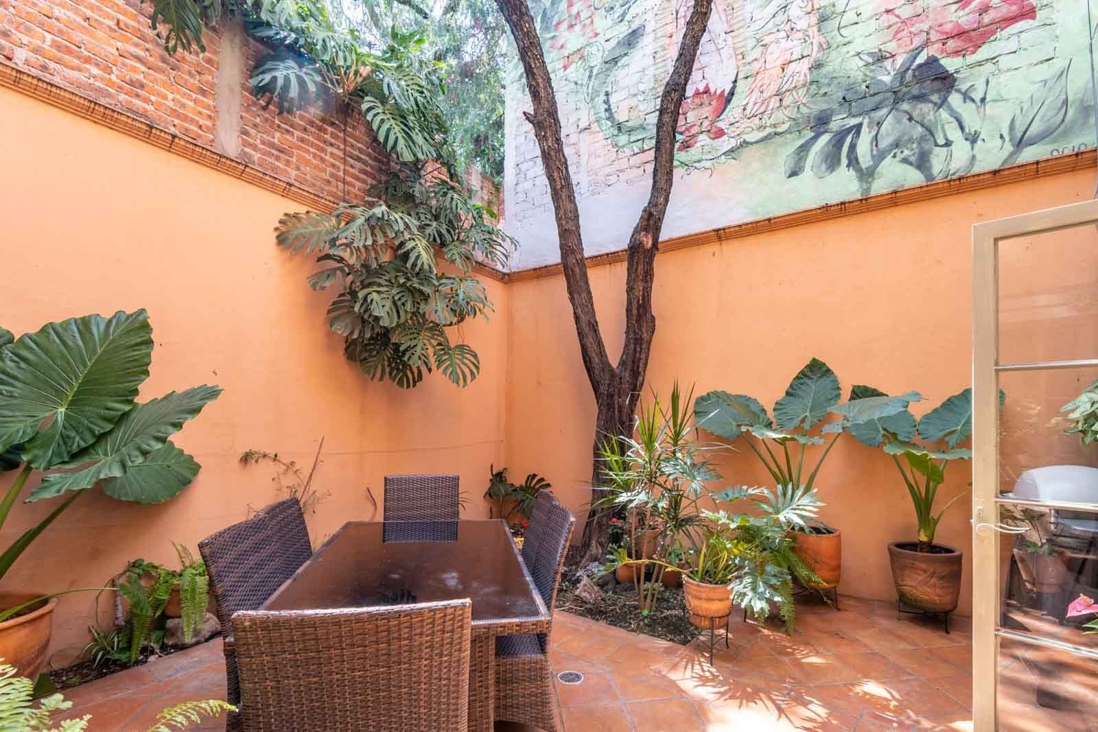 Secret Garden — San Antonio, San Miguel de Allende — photo 10 — charming courtyard with mature trees, dappled sunlight