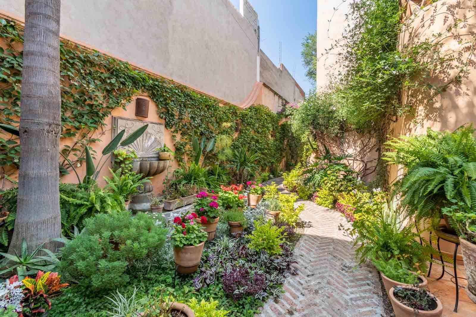 Secret Garden — San Antonio, San Miguel de Allende — photo 12 — lush botanical courtyard oasis awaits