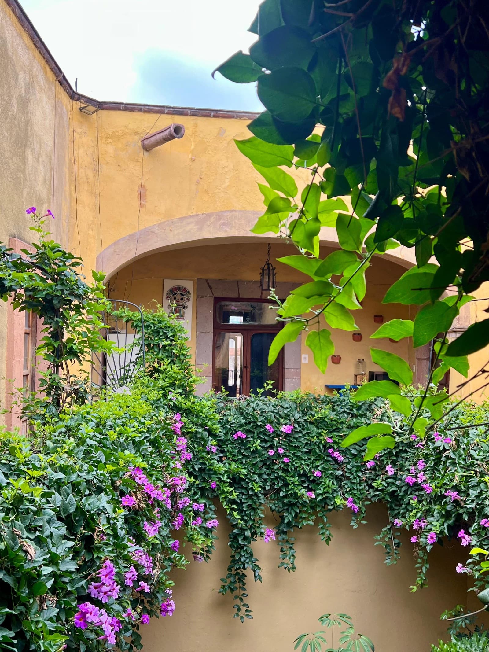 Casona Madero — Centro, San Miguel de Allende — photo 7 — charming colonial courtyard, vibrant blooming gardens