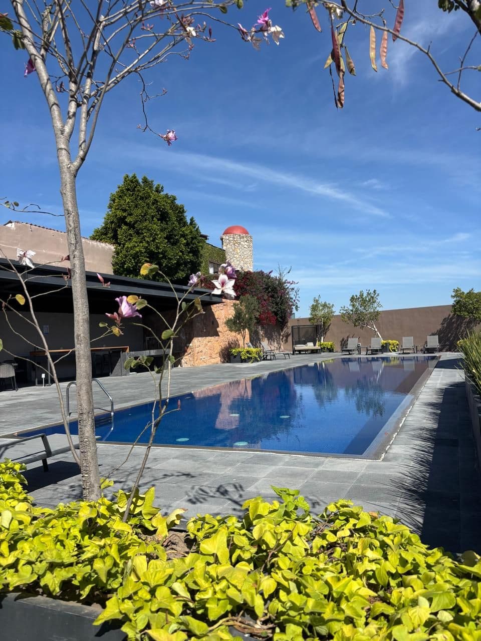 Barrio Santo PH — Barrio Santo, San Miguel de Allende — photo 18 — serene resort-style poolside oasis