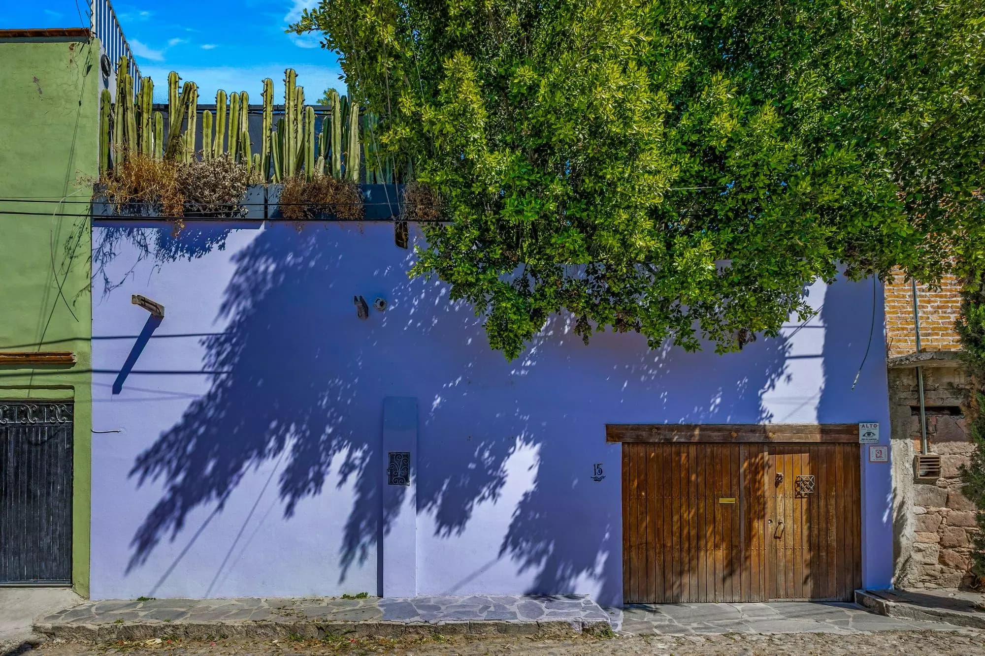 Casa Entre Arboles — San Antonio, San Miguel de Allende — photo 2 — vibrant colonial charm with dappled shade