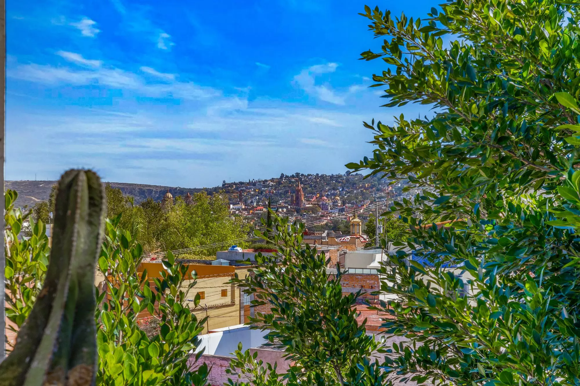 Casa Entre Arboles — San Antonio, San Miguel de Allende — photo 30 — panoramic hillside views, verdant gardens