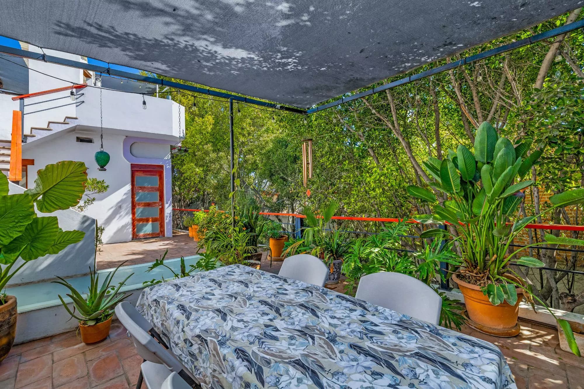 Casa Entre Arboles — San Antonio, San Miguel de Allende — photo 27 — verdant rooftop garden, dappled shade