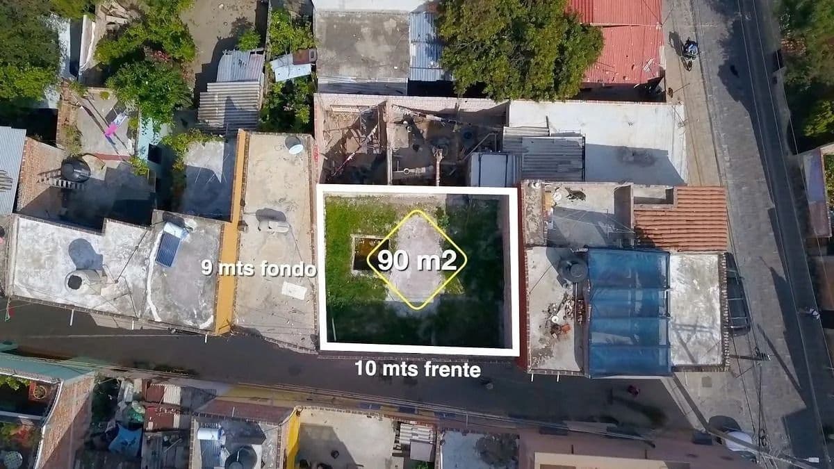 Lote Purísima