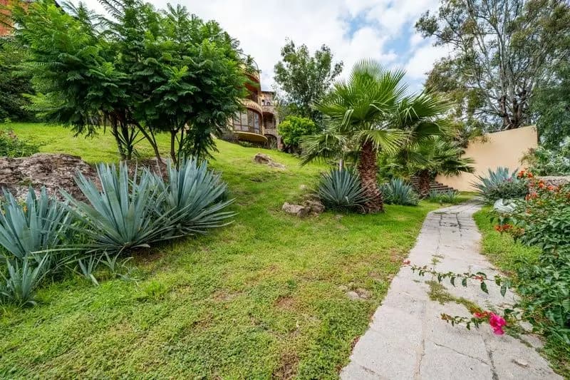 La Casona de Montitlan — Balcones, San Miguel de Allende — photo 15 — lush hillside garden, mature landscaping