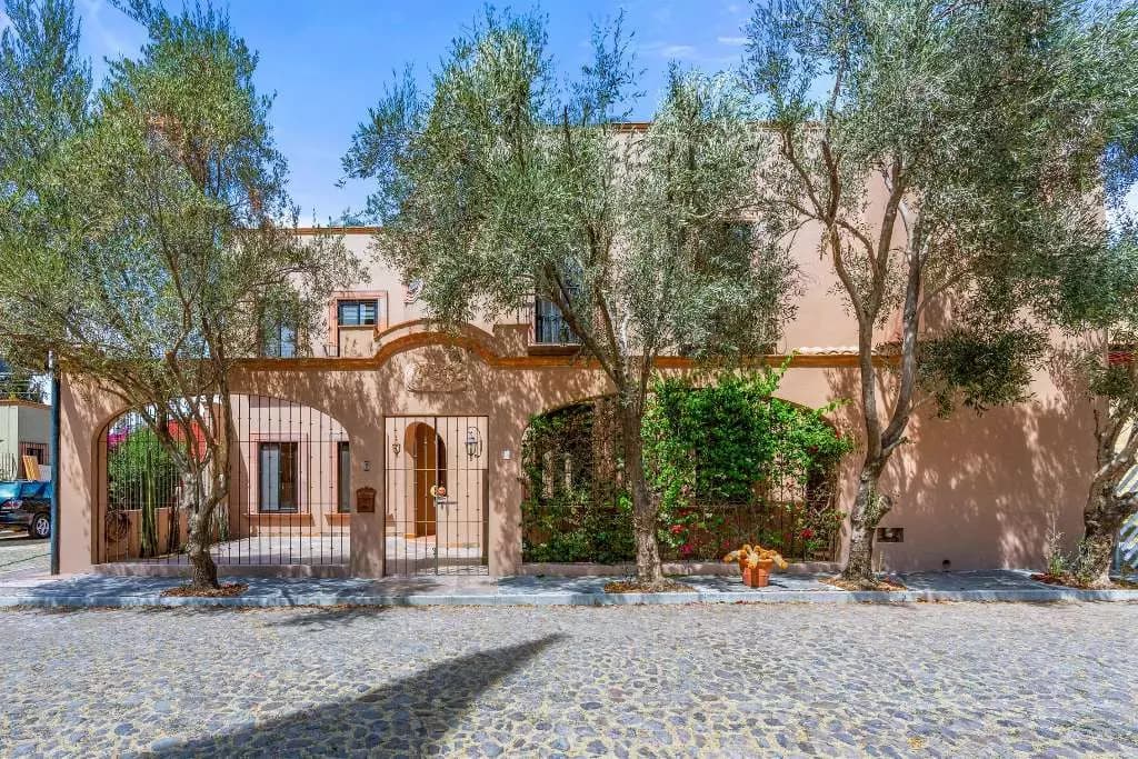 Casa Fuente Del Sol — Balcones, San Miguel de Allende — photo 2 — charming courtyard, mature olive trees, authentic architecture