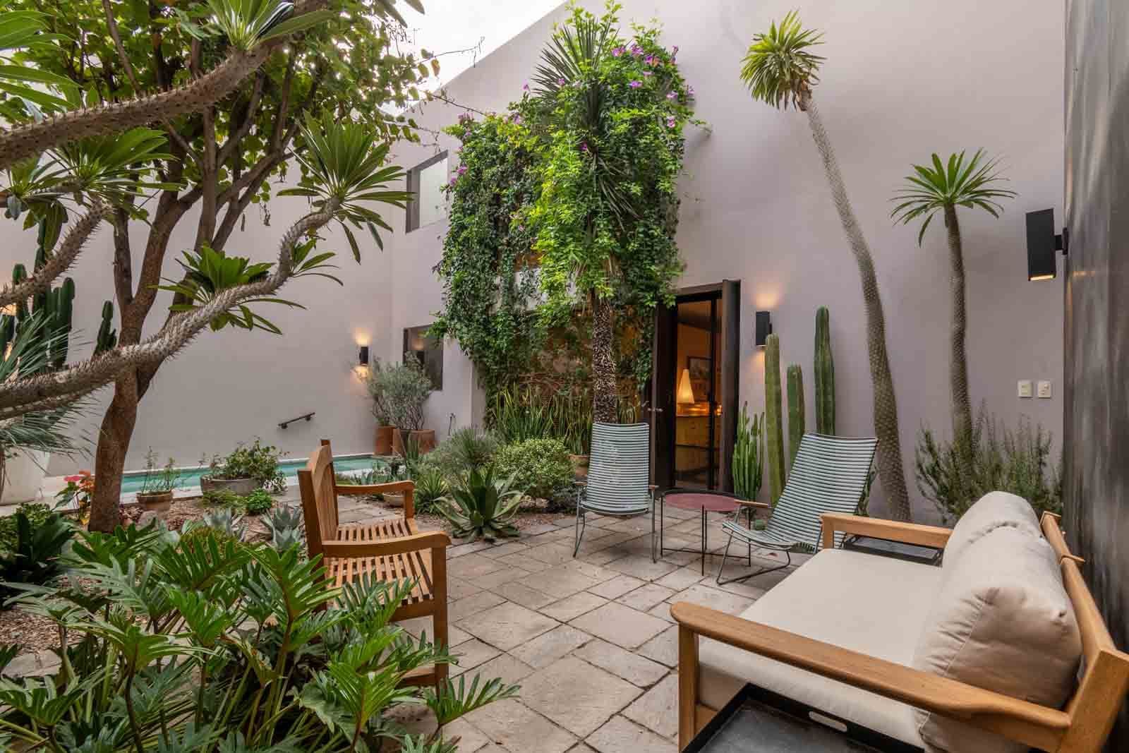 Casa Doce — Centro, San Miguel de Allende — photo 10 — serene courtyard oasis, verdant walls