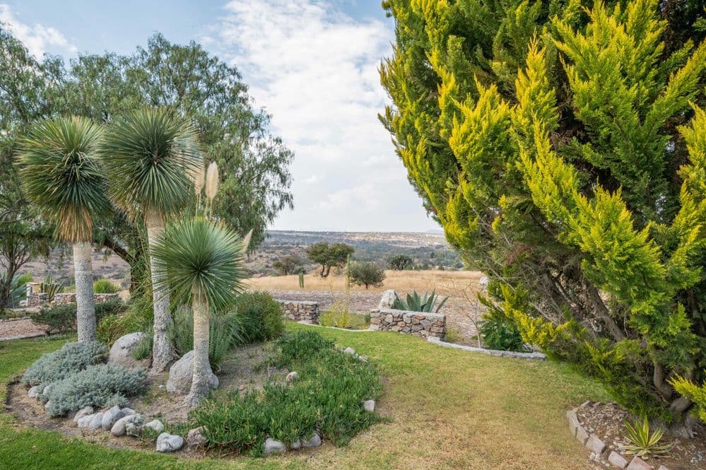 Casa Cactus — El Cortijo, San Miguel de Allende — photo 2 — mature gardens, panoramic valley views