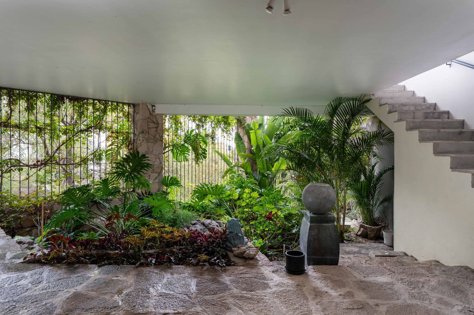 Casa Iluminada — Balcones, San Miguel de Allende — photo 23 — verdant courtyard with architectural charm