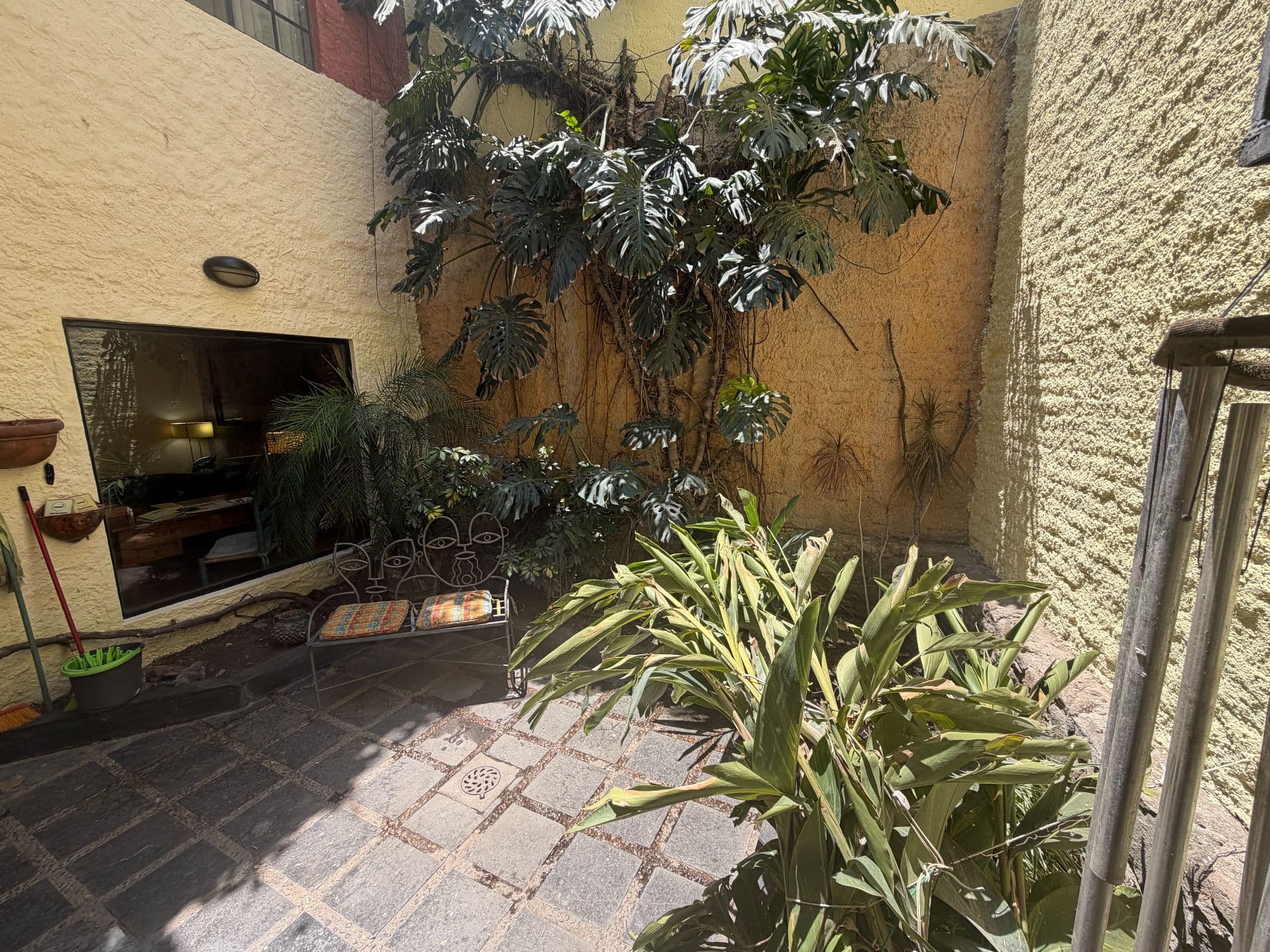 Casa Clinton — Caracol, San Miguel de Allende — photo 13 — charming courtyard with verdant gardens