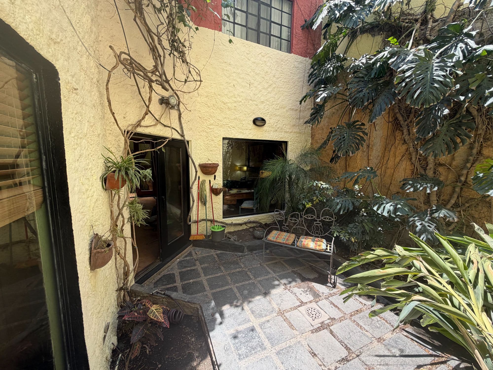 Casa Clinton — Caracol, San Miguel de Allende — photo 12 — charming courtyard oasis, lush tropical garden