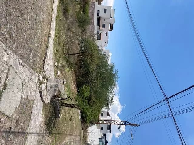 LA CAÑADA LOTS — Villa de los Frailes, San Miguel de Allende — photo 9