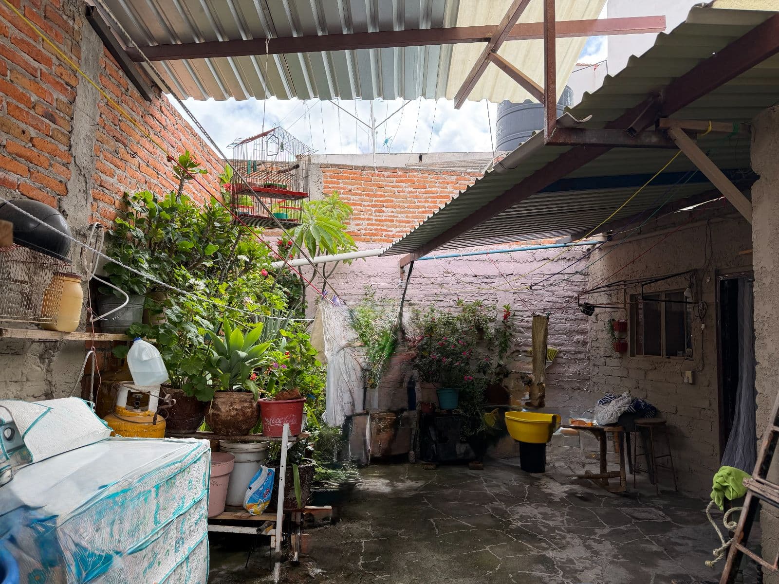 Casa María Dolores — Centro, San Miguel de Allende — photo 7 — charming courtyard with authentic character