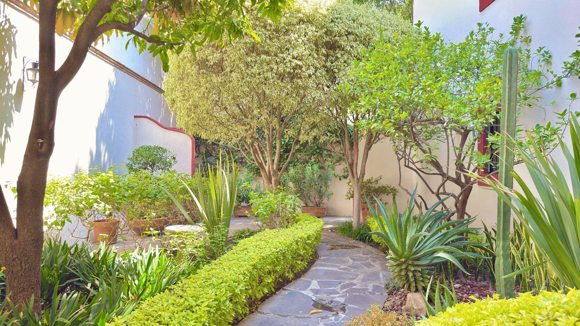 Casa Esperanza San Antonio — San Antonio, San Miguel de Allende — photo 24 — serene mature garden courtyard oasis