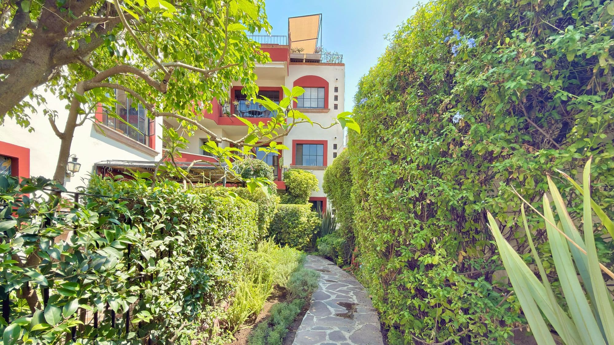 Casa Esperanza San Antonio — San Antonio, San Miguel de Allende — photo 26 — lush garden pathway, architectural charm