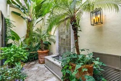 Casa Jesus — Centro, San Miguel de Allende — photo 14