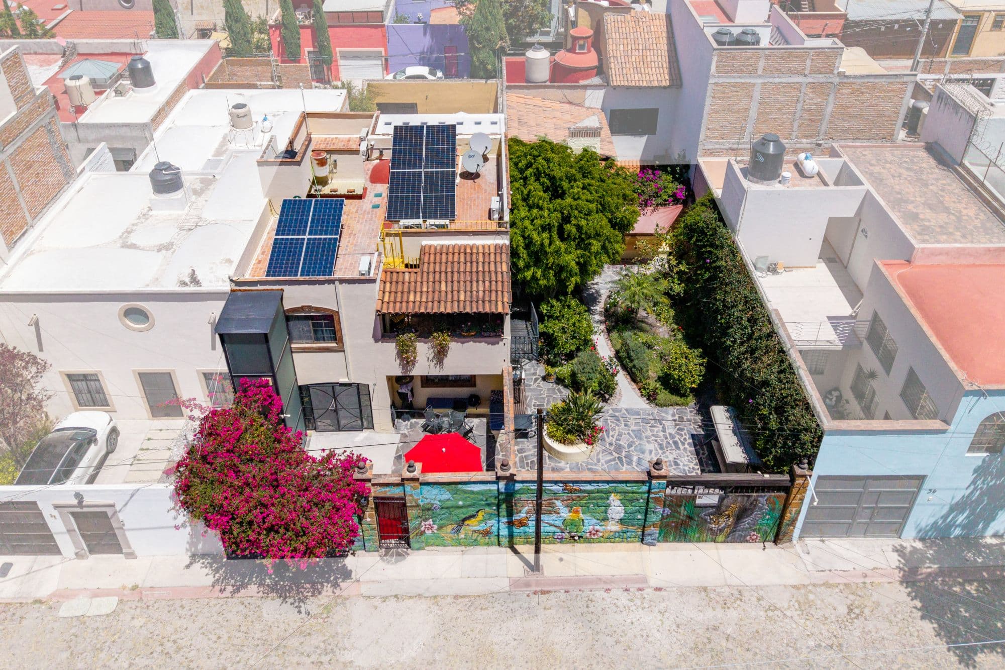Casa Eclipse — La Lejona, San Miguel de Allende — photo 3 — verdant rooftop oasis, solar-powered sanctuary