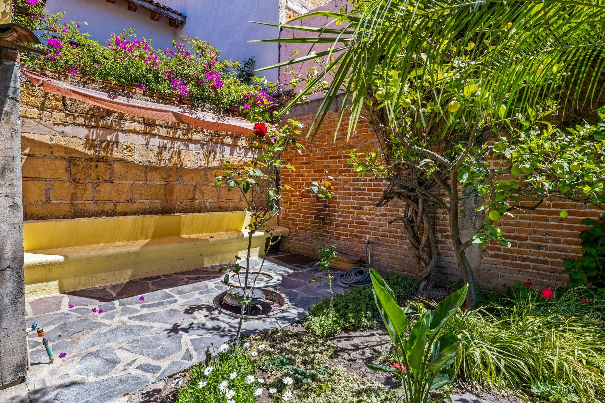 Casa Eclipse — La Lejona, San Miguel de Allende — photo 6 — enchanting courtyard, vibrant blooms, dappled sunlight