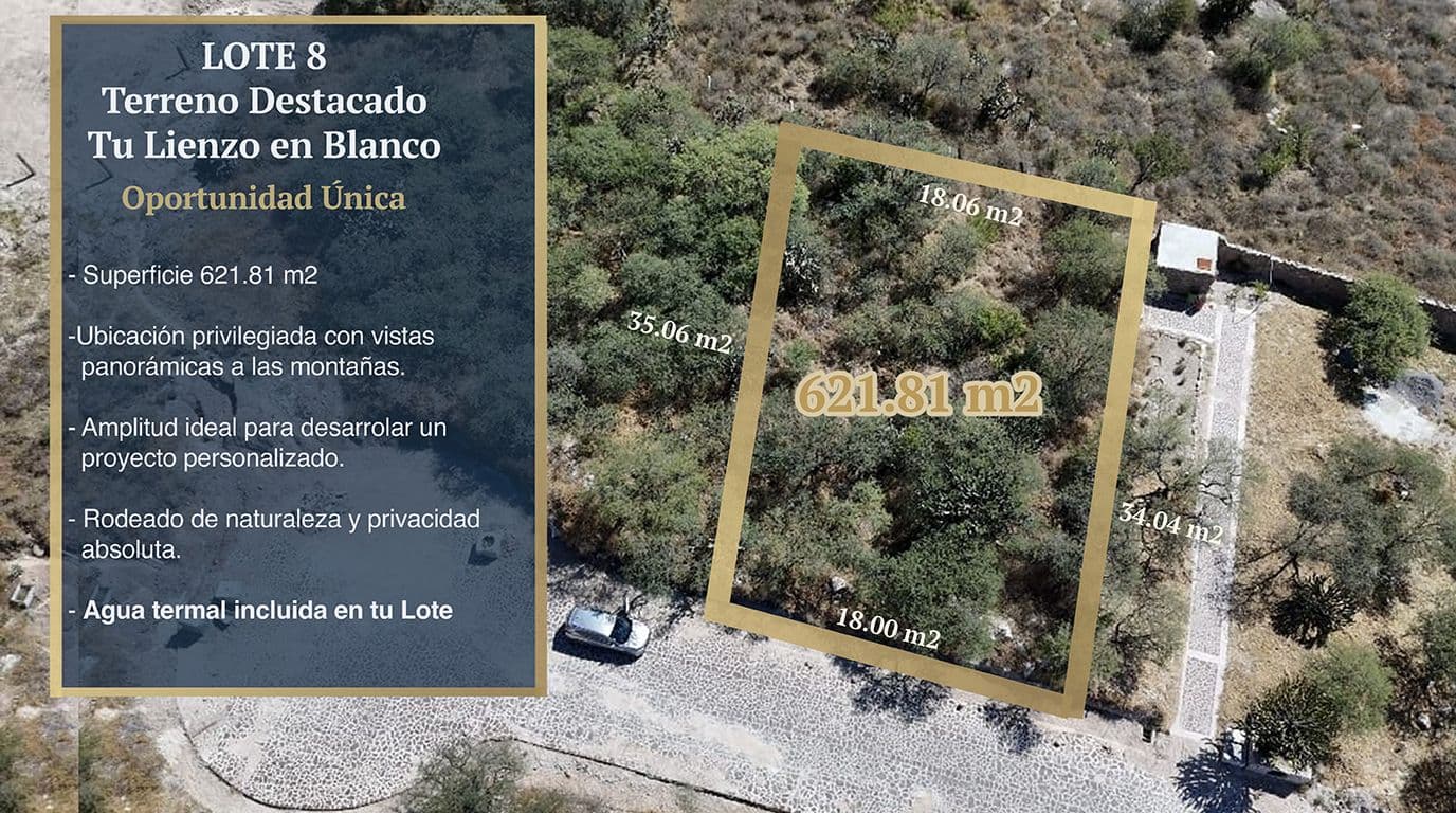 Lote 8