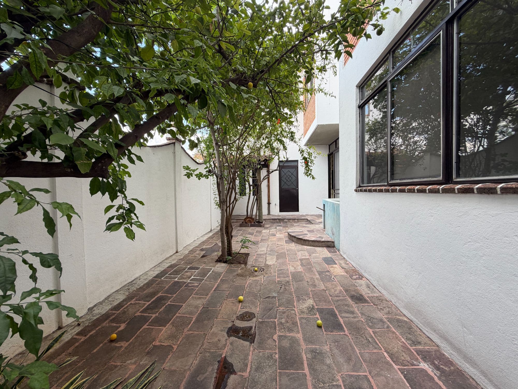 Casa Torres — Centro, San Miguel de Allende — photo 45 — serene courtyard with mature shade trees