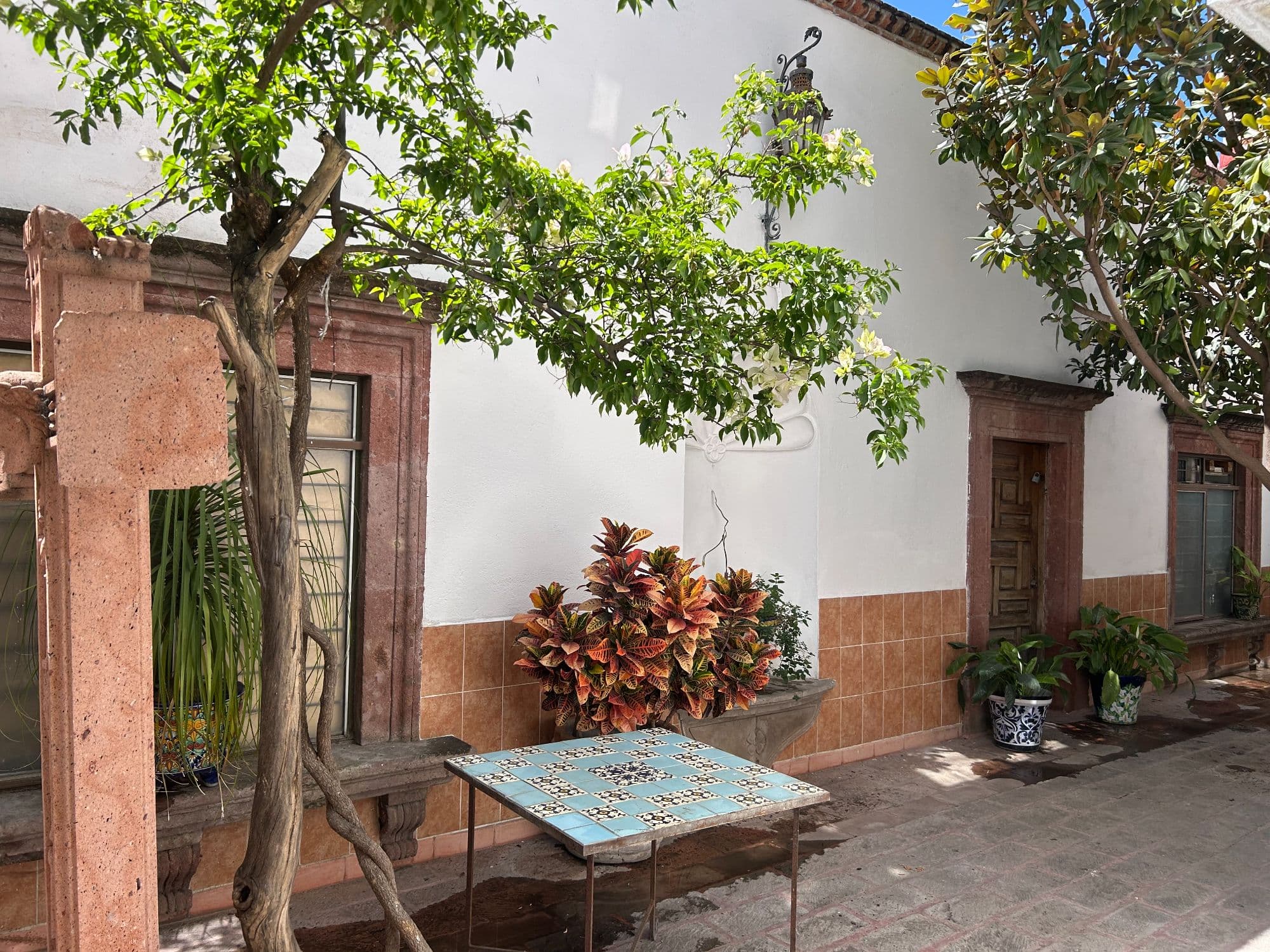 Casa Naranjo — San Miguel de Allende Centro, San Miguel de Allende — photo 3 — charming courtyard with mature shade trees