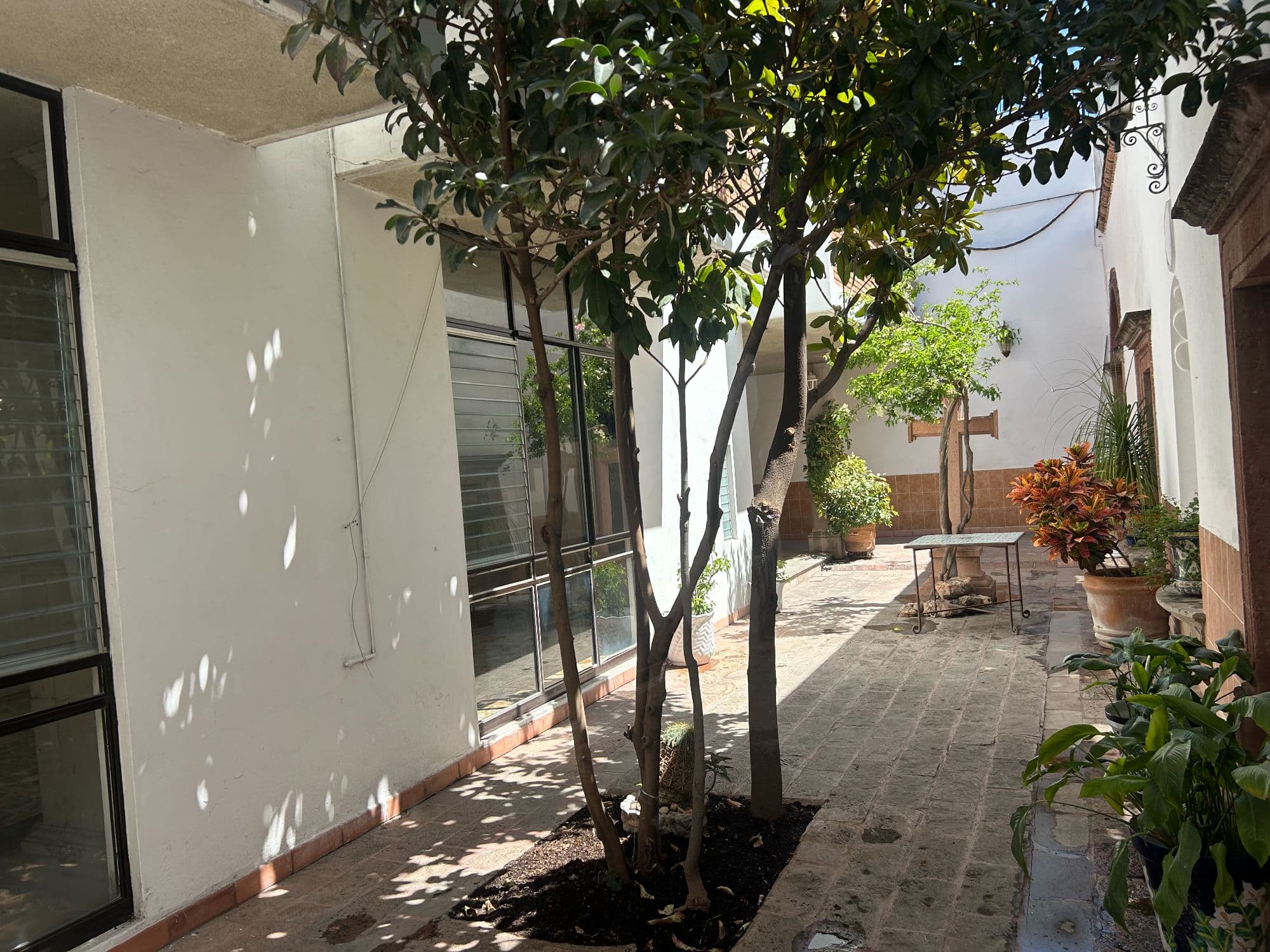 Casa Naranjo — San Miguel de Allende Centro, San Miguel de Allende — photo 4 — serene courtyard with mature shade trees