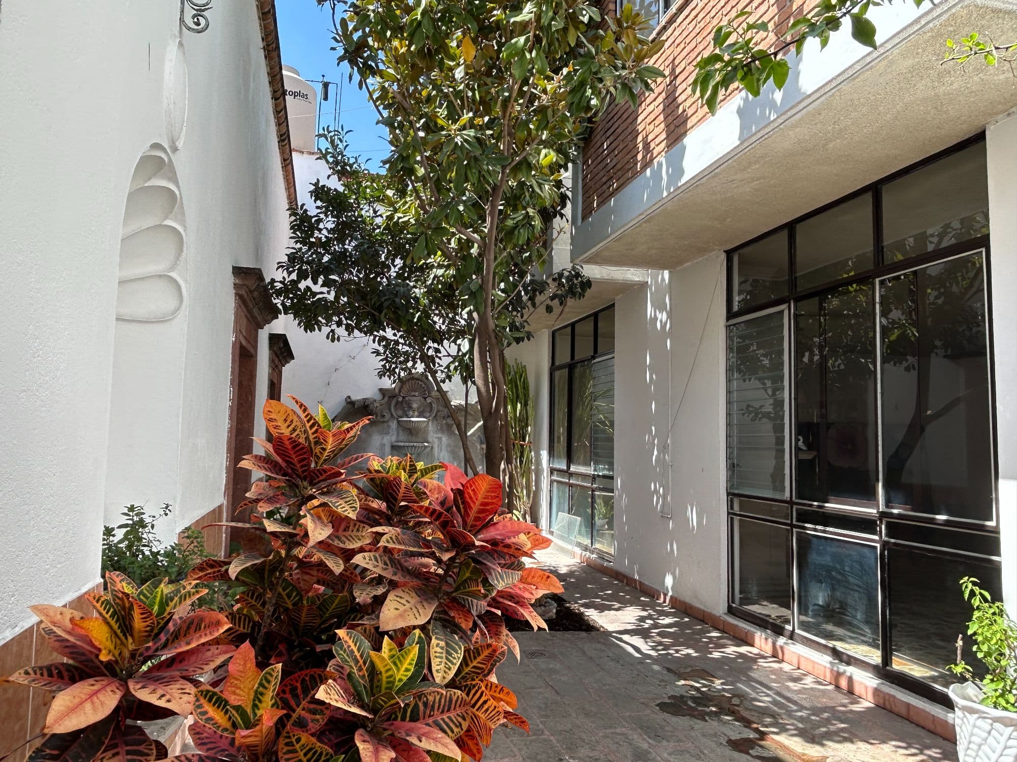 Casa Naranjo — San Miguel de Allende Centro, San Miguel de Allende — photo 8 — sunlit courtyard with tropical elegance