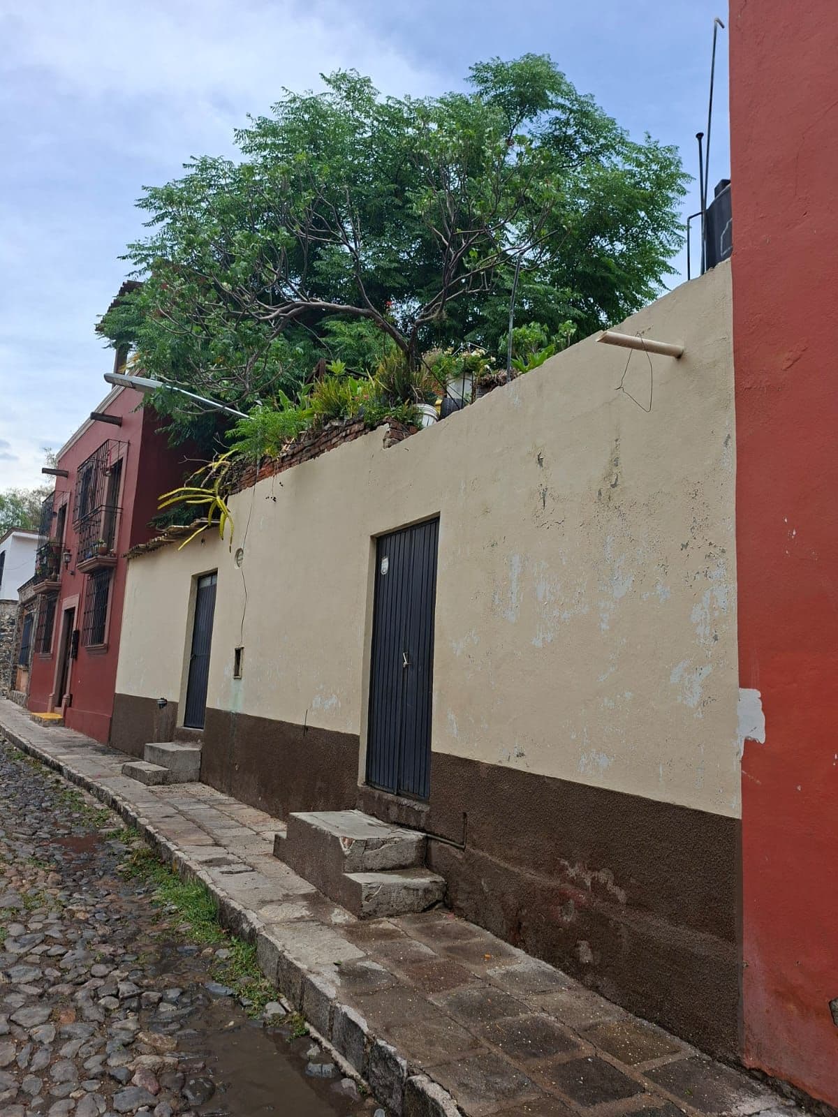 Terreno Árboles