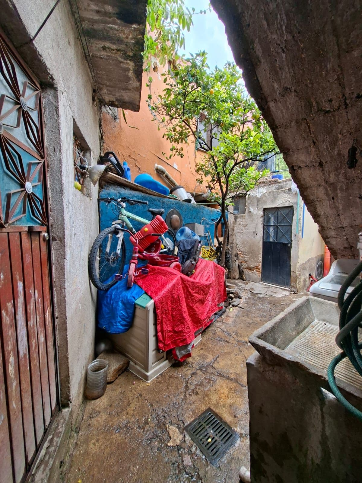 Terreno Árboles — Centro, San Miguel de Allende — photo 9 — charming courtyard with authentic character