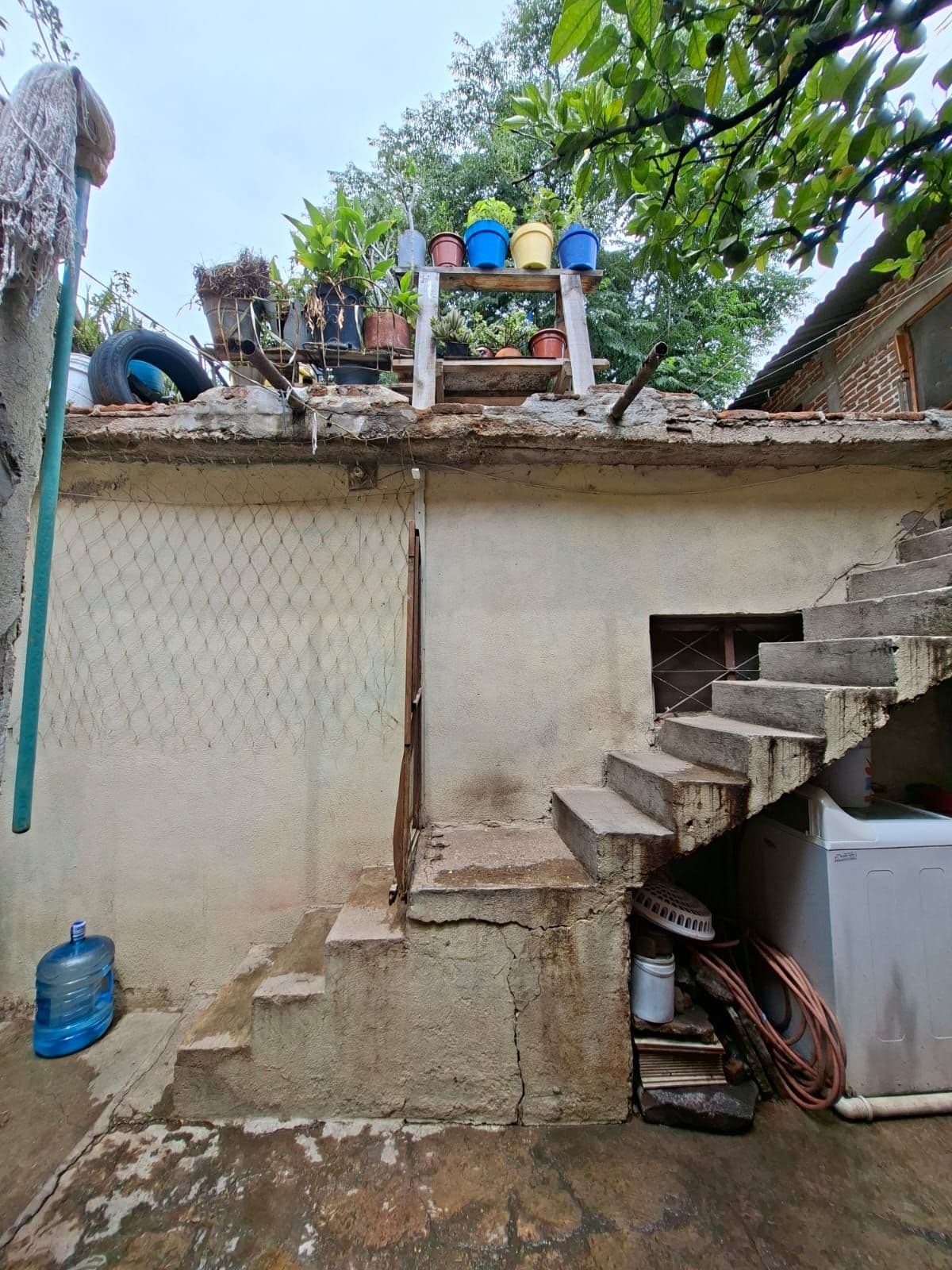 Terreno Árboles — Centro, San Miguel de Allende — photo 5 — charming rustic courtyard with potential